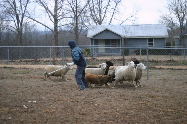 Click to see next picture