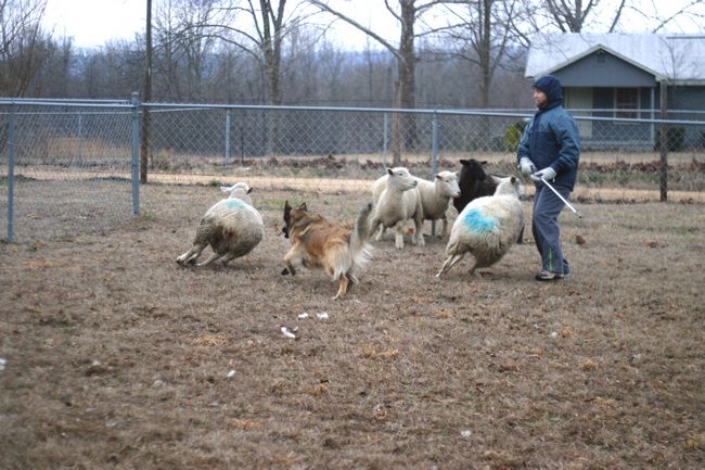 Click to see next picture