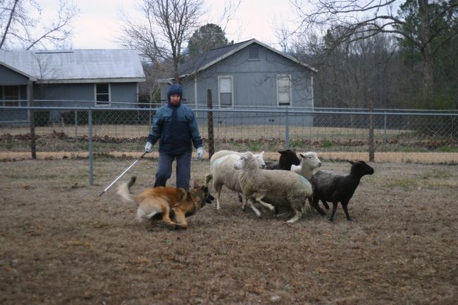 Click to see next picture