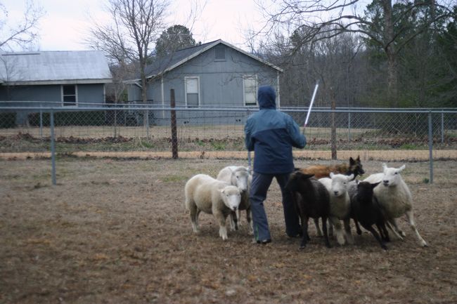 Click to see next picture