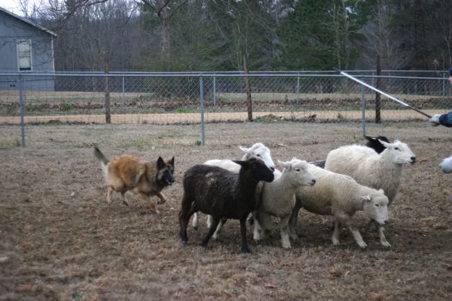 Click to see next picture