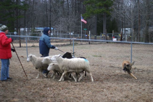 Click to see next picture