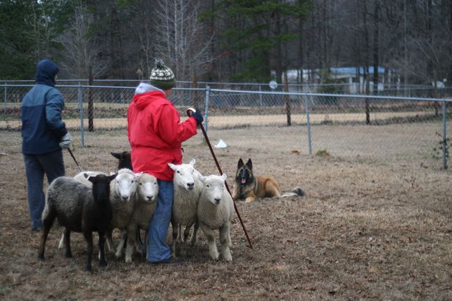 Click to see next picture