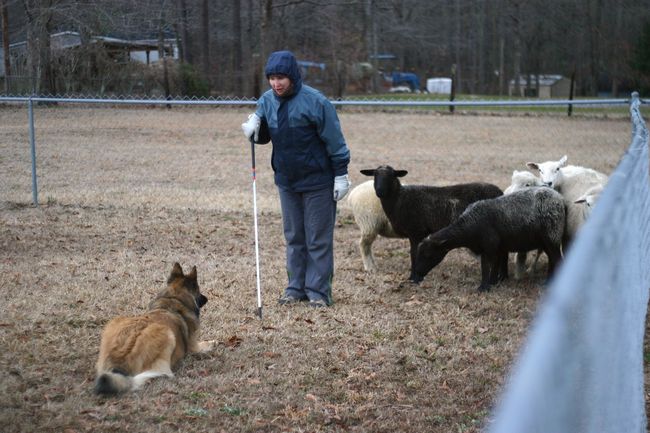 Click to see thumbs page