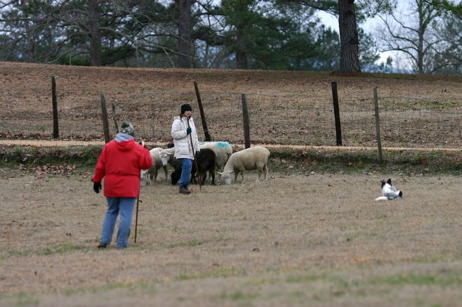 Click to see next picture