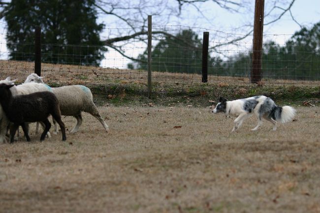 Click to see next picture