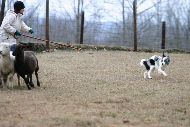 Click to see next picture