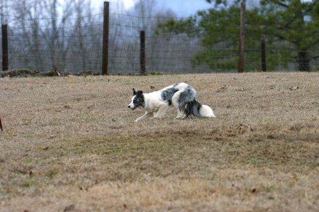 Click to see next picture