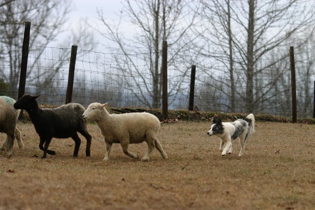 Click to see thumbs page