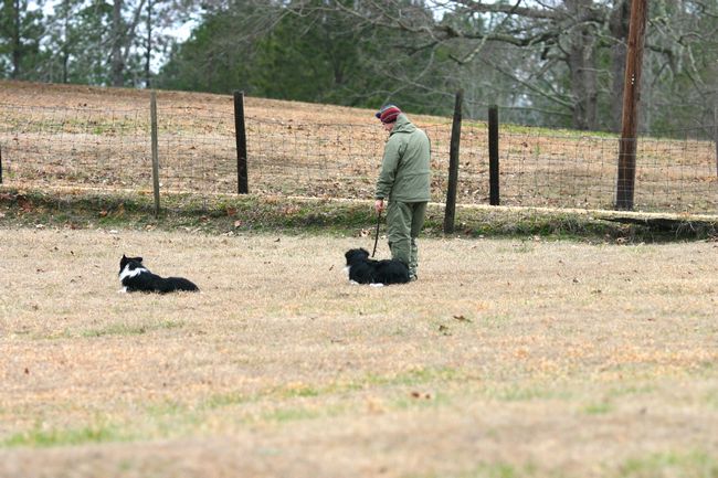 Click to see next picture