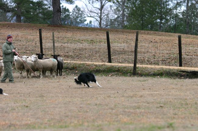 Click to see next picture