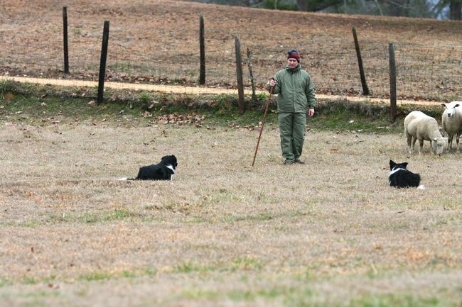 Click to see next picture