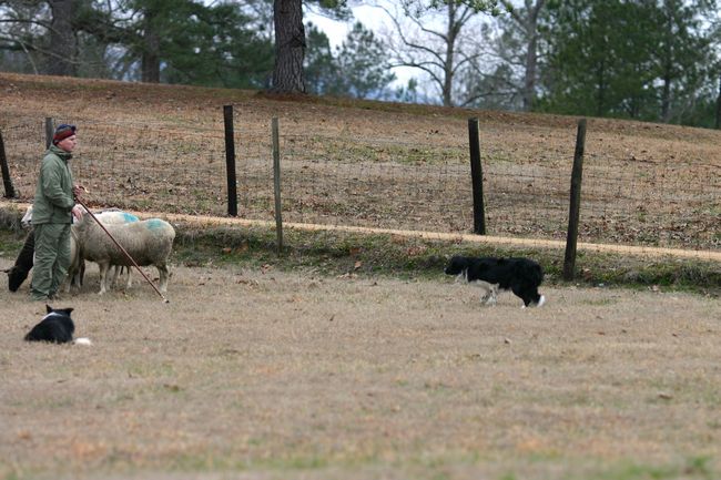 Click to see next picture