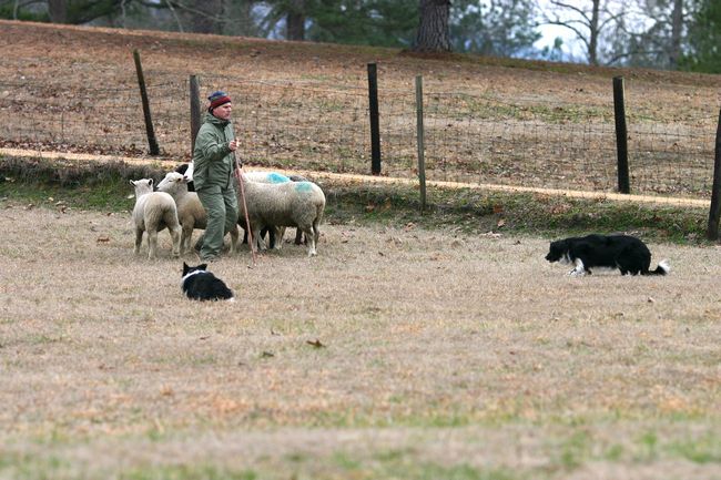 Click to see next picture