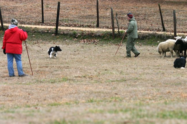 Click to see next picture