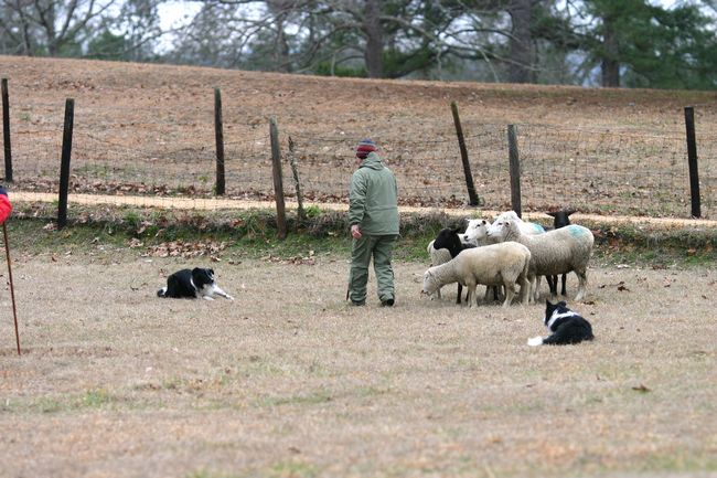 Click to see next picture