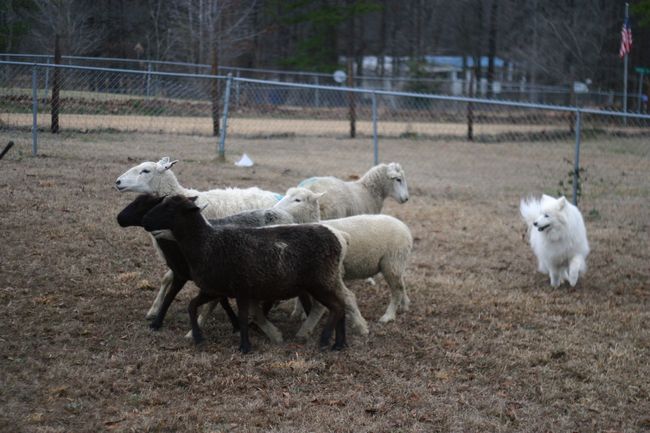 Click to see next picture