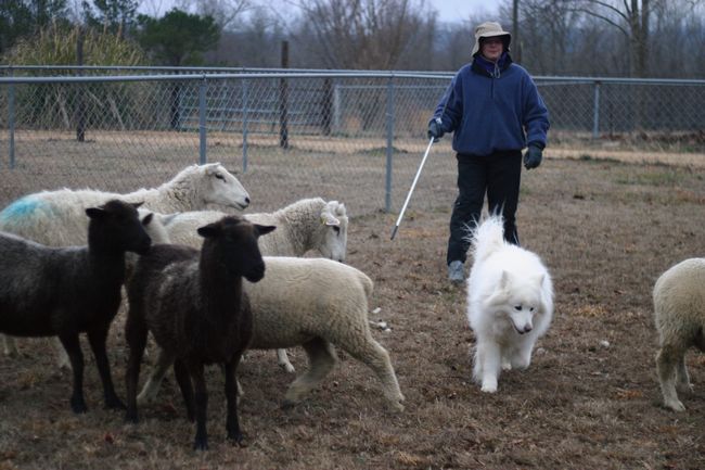 Click to see next picture