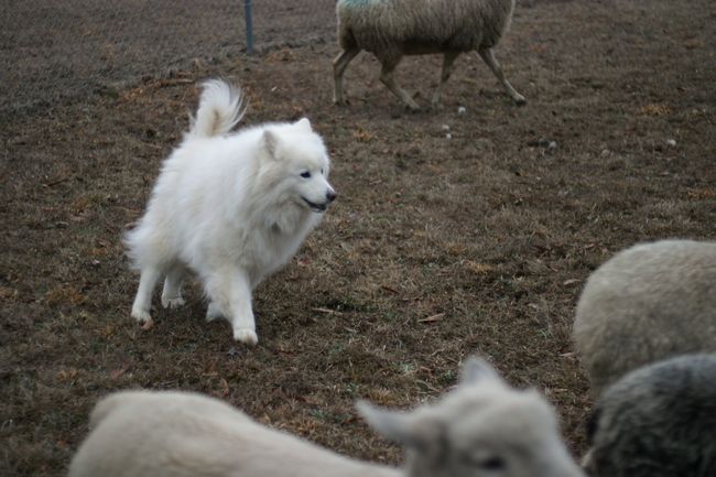 Click to see next picture