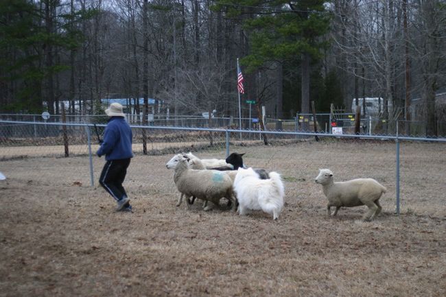 Click to see next picture