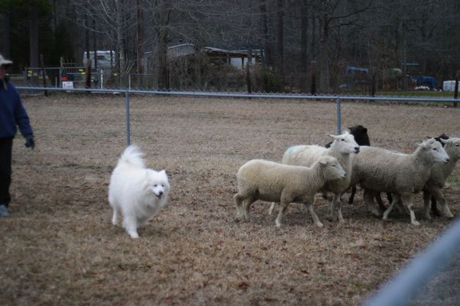 Click to see next picture