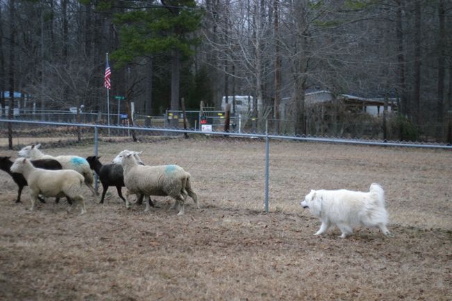 Click to see next picture