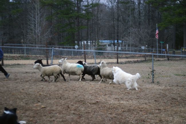 Click to see thumbs page