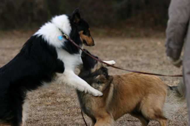 Click to see next picture