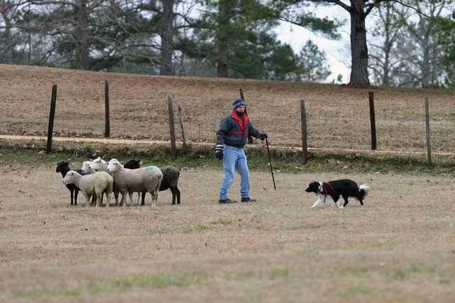 Click to see next picture