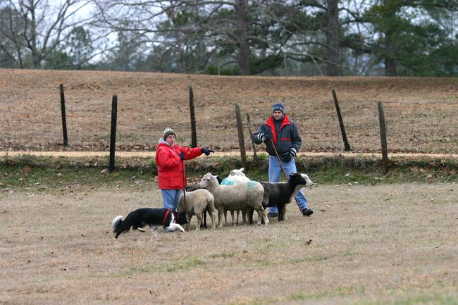 Click to see next picture