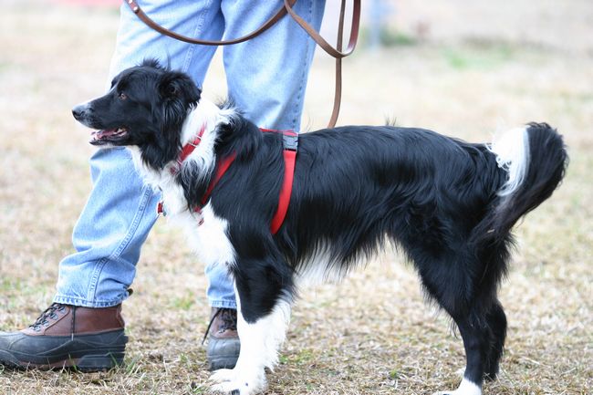 Click to see next picture