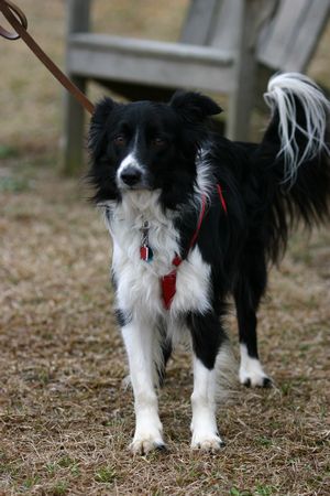 Click to see thumbs page