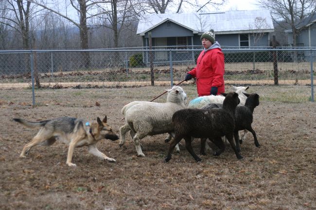 Click to see next picture