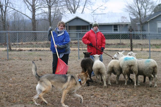 Click to see next picture