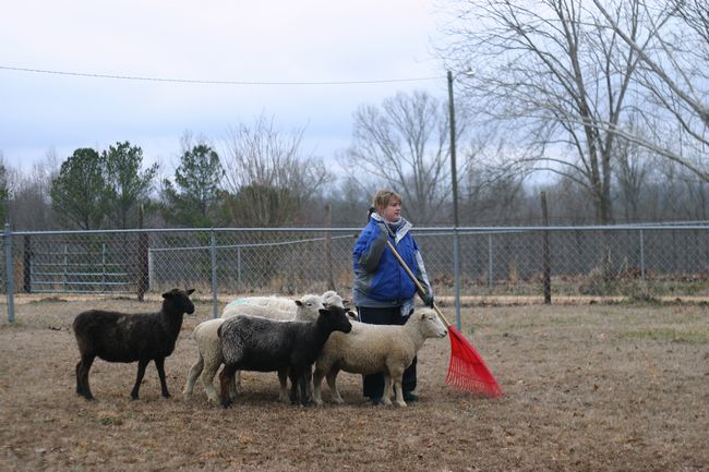 Click to see next picture