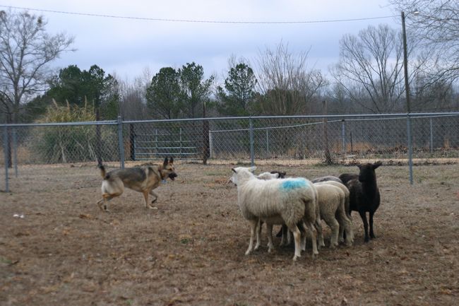 Click to see next picture