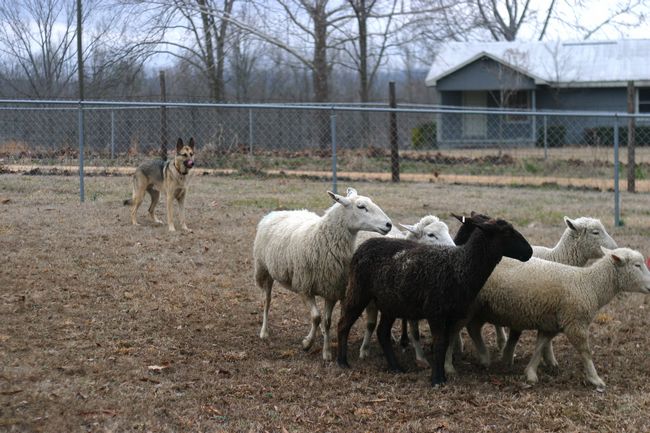 Click to see next picture