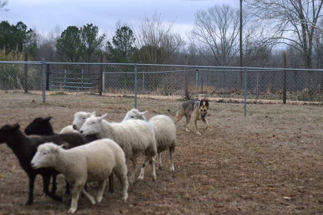 Click to see thumbs page