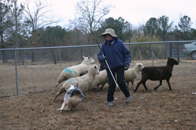 Click to see next picture