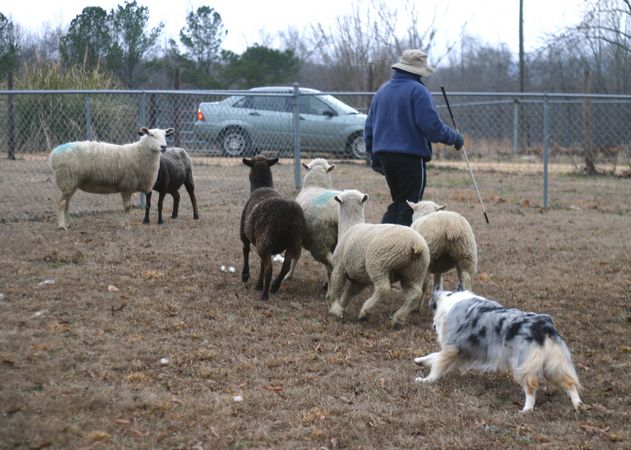 Click to see next picture