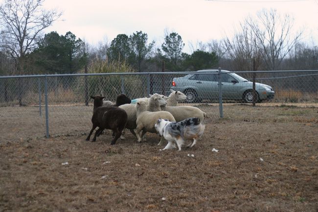 Click to see next picture