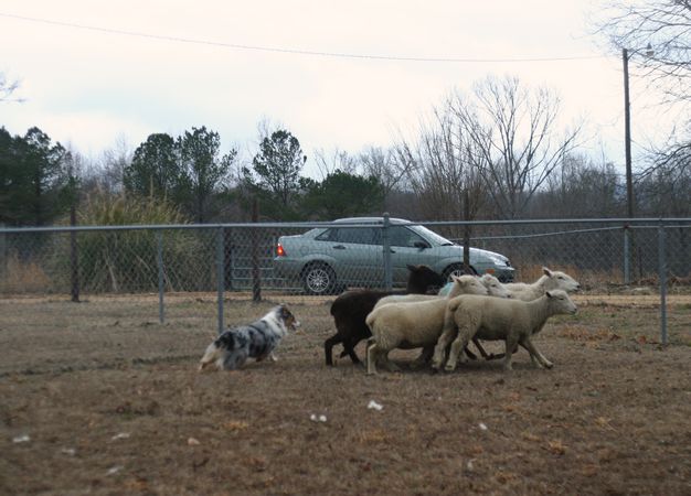 Click to see next picture