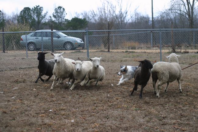 Click to see next picture