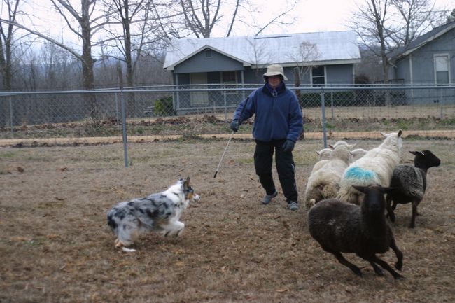 Click to see next picture