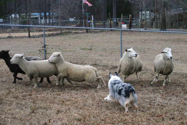 Click to see next picture