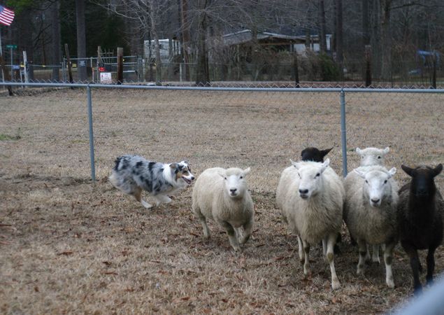 Click to see next picture