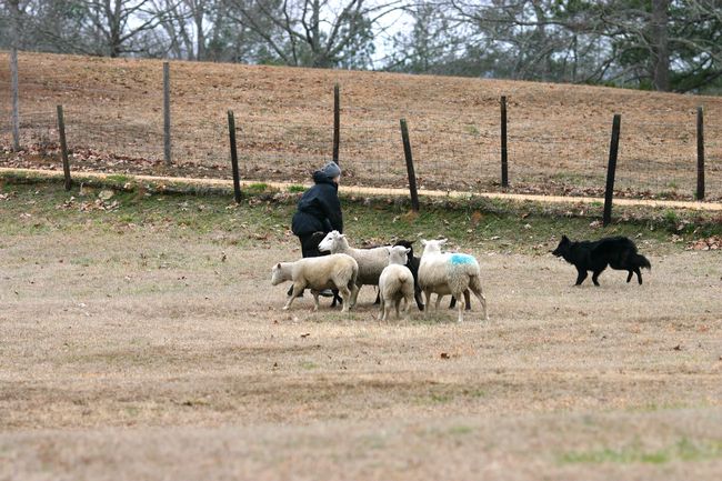 Click to see next picture