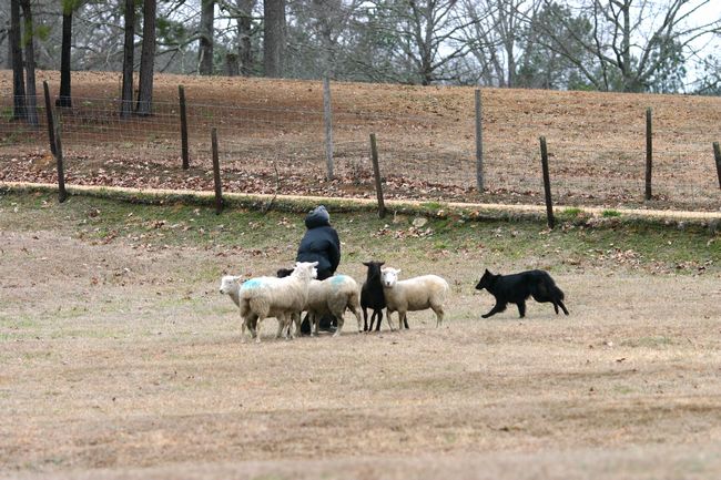 Click to see next picture