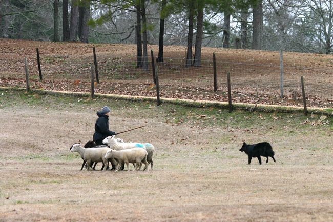 Click to see next picture