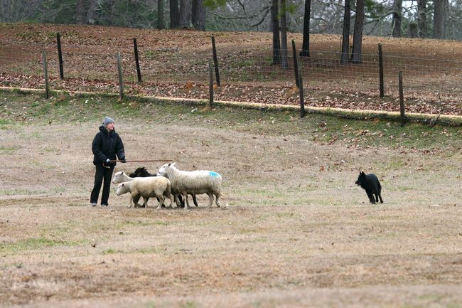 Click to see next picture